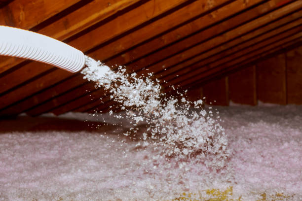 Best Residential Insulation in Northfield, MN