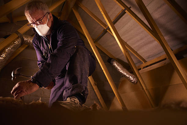 Best Types of Insulation in Northfield, MN